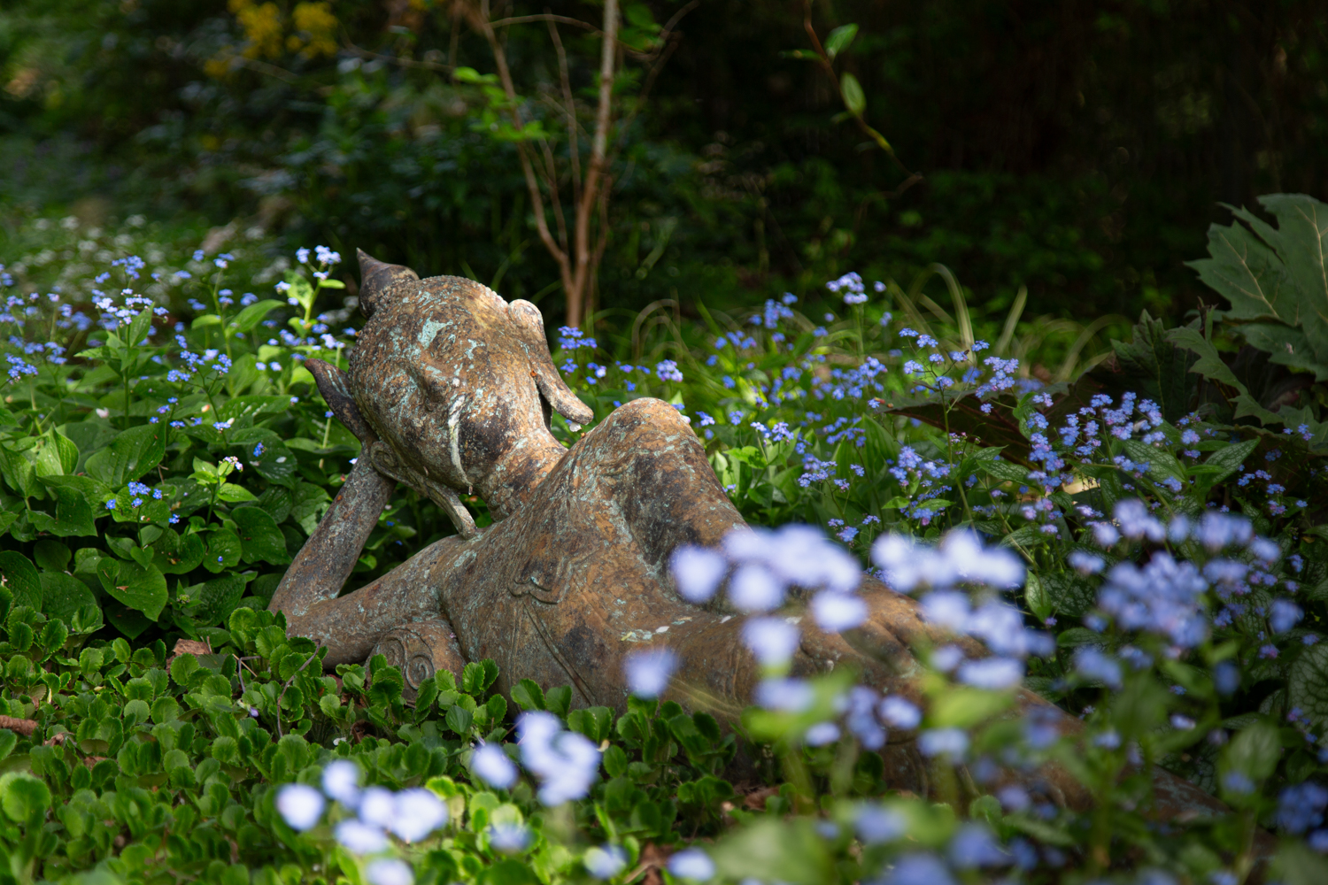 Atmosphärische Gartenaufnahme von Barbara Rainer